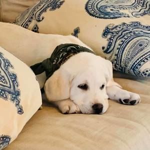 Meet your Posher, Dana